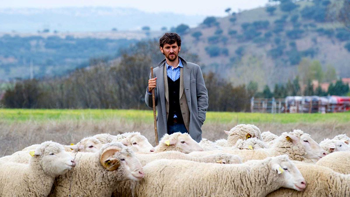 la2_tve's tweet photo. Hoy también es día de #SomosCine, aunque sea lunes.
Entra en el nuevo portal de @rtve con más de 60 películas españolas gratis y en abierto. 
🎬 https://t.co/LW9hh9NZTD https://t.co/ccdITRwMFA