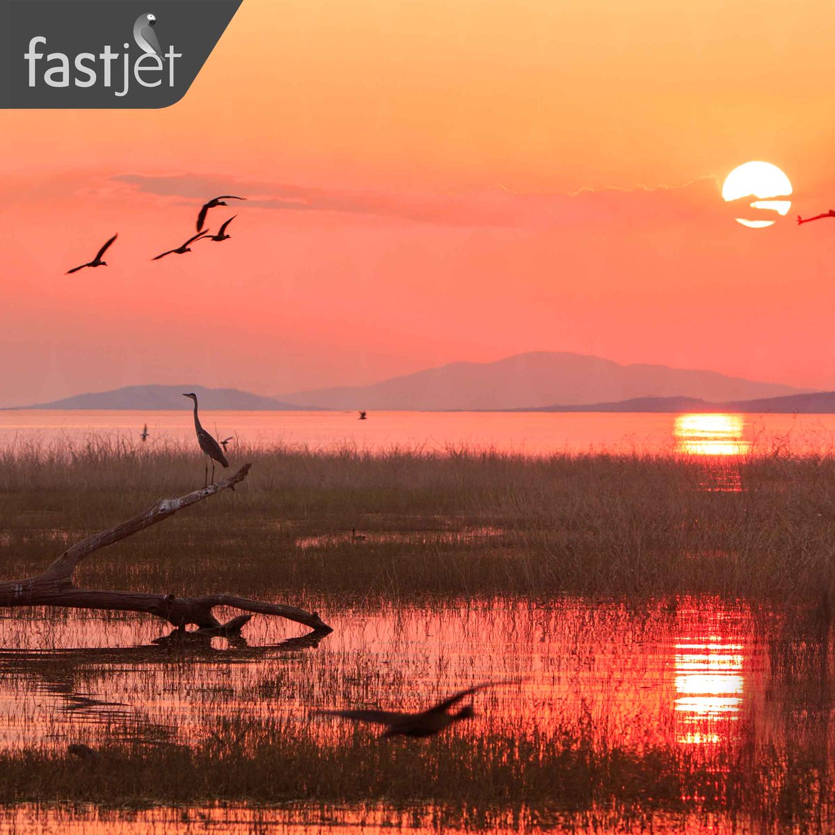 fastjet's tweet photo. "Positive attitude gives you power over your circumstances, instead of circumstances having power over you"
#WeWillFlyAgain #WeAreInThisTogether #WeAreAviationย
#StaySafe #StayStrong #Zimbabwe #SouthAfrica
#Fastjet #ForEveryoneย #LakeKariba https://t.co/os4DdmySkl