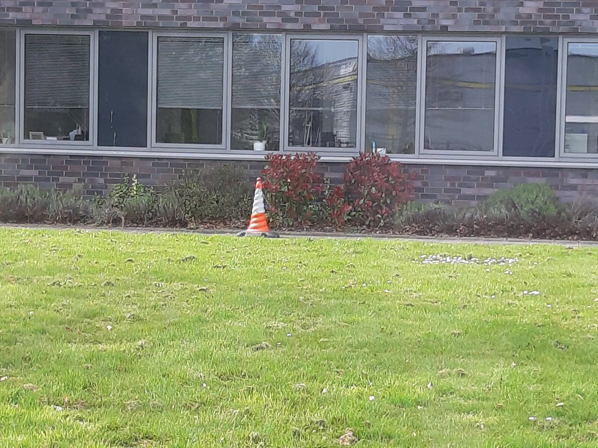 AlisonsBeeClass's tweet photo. #conewatch @IronbridgeAAC my favourite cone EVER!!!! https://t.co/I1mhJbN8HB