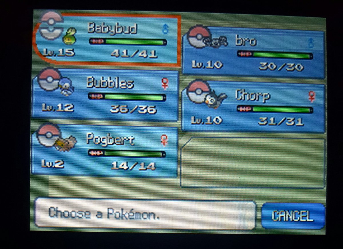 First gym battle done and, much like the rival fight, my preparation made it much smoother than initially expected! Clicked growth a couple times with Babybud and that was the whoooole game. Mega Drain HP gain was big though!