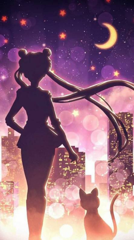 HD wallpaper Sailor Moon anime girls  Wallpaper Flare