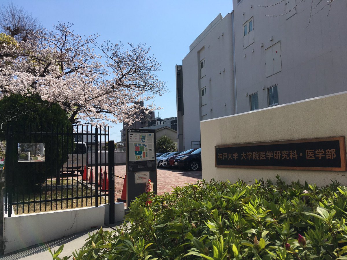 神大portal サークル情報 21 桜点描 楠キャンパス 医学部医学科研究棟前 人気のないキャンパスにも桜が満開 4月6日13 24撮影 神戸大学 神戸大 神大 桜 神大portal サークル情報 21 桜点描 楠キャンパス 医学部医学科研究棟前 人気のないキャンパスにも桜が満開 4月6日13 24撮影 神戸大学 神戸大 神大 桜