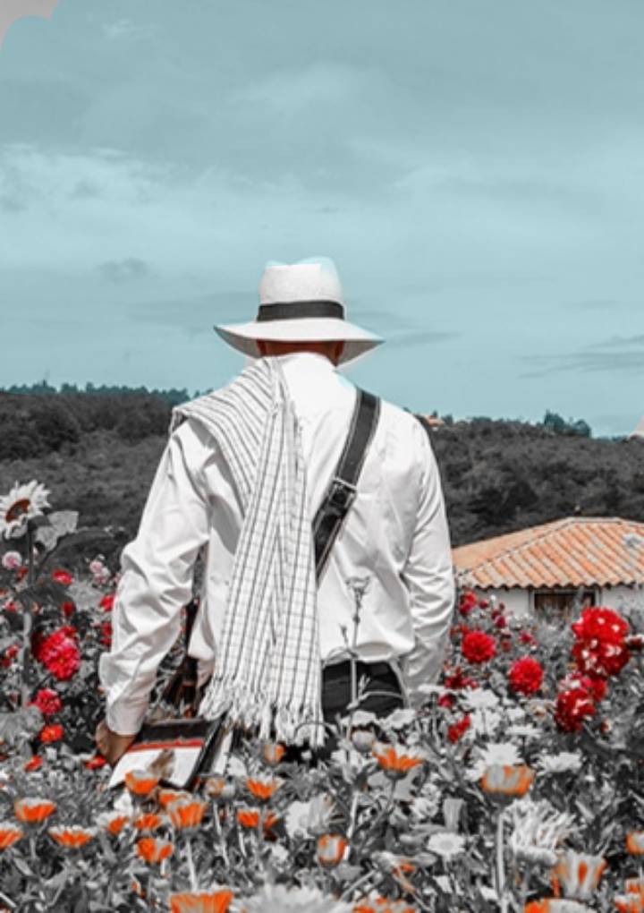 Juanjosebarrien's tweet photo. Nada representa mejor las montañas y las flores que Medellín. Nada representa mejor a Medellín que un silletero.
@FutbolCoLab
#FutbolCOLab
#RetoFantasy
@DIM_Oficial https://t.co/Sl3LtfLDe4