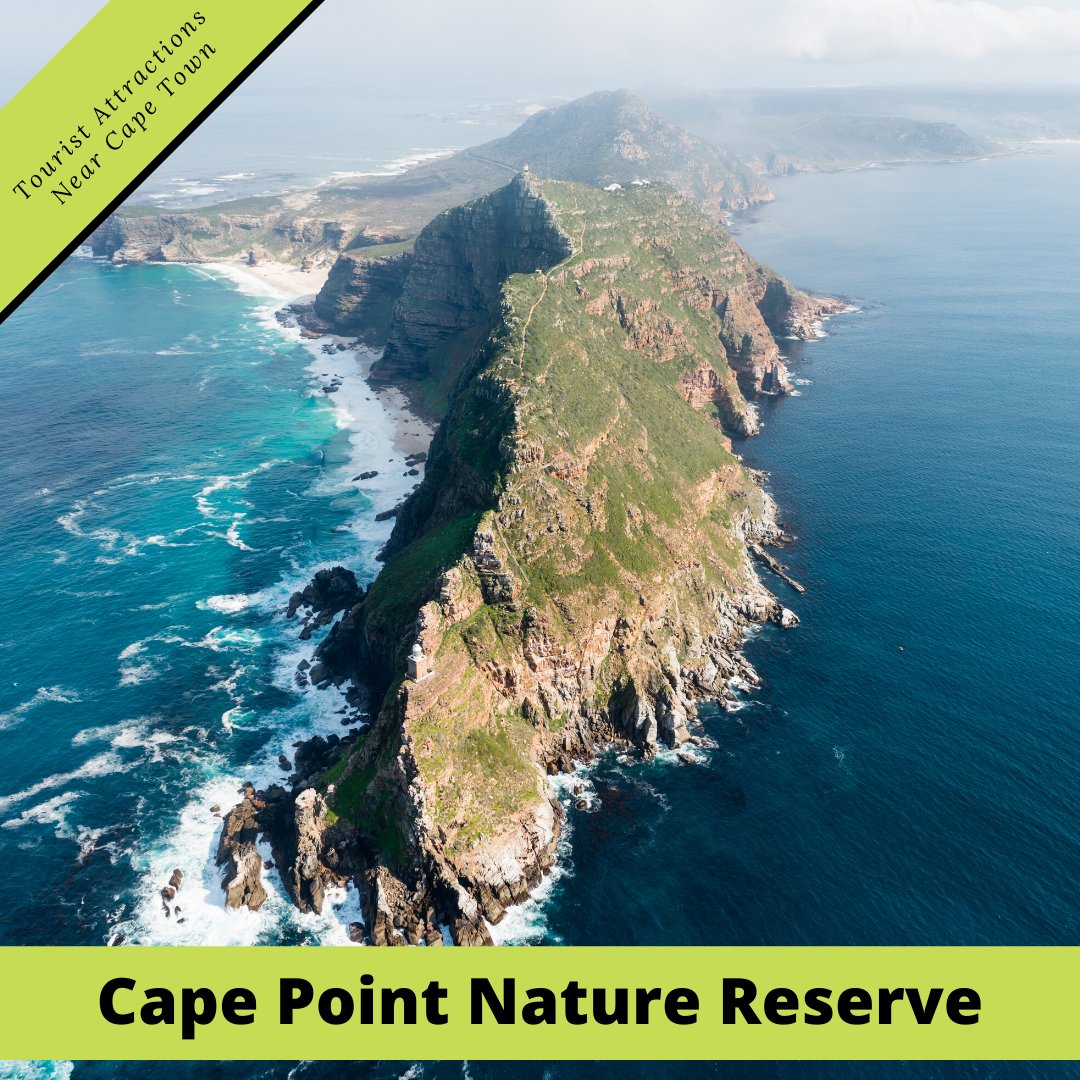 impulsegetaways's tweet photo. Attractions Near Cape Town ~ Cape Point lies at the tip of the Cape Peninsula, a nature reserve within the Table Mountain National Park. Originally named the Cape of Storms by the navigator Bartolomeu Dias, it features an 1859 lighthouse. This is truly a nature lover’s paradise! https://t.co/wR10gDuWxj