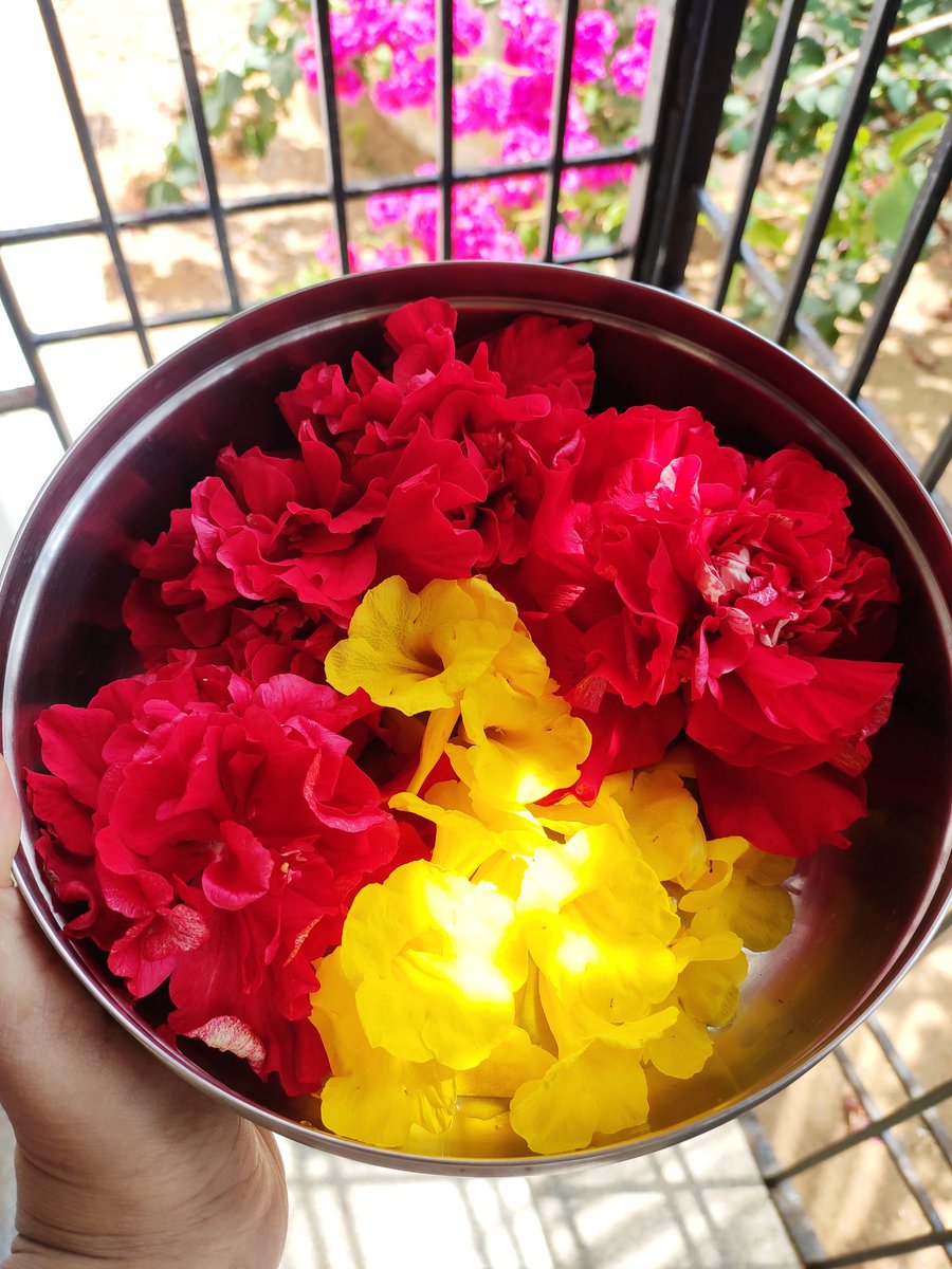 Day 13/21 of  #JogaInLockdown Back to work (and housework) day... Happy Monday!All housework done, lunch preps on with Mahabharat in the background, office ka kaam lunch ke baad badh jayega Some colours for the day (plucked for Puja today)