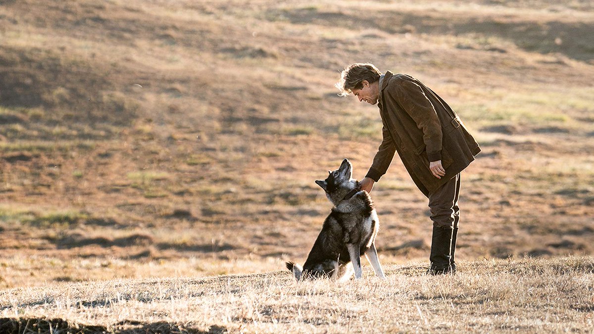  #Togo (2019) This was a sweet surprise, really enjoyed this movie and William Defoe is great, it is very visually stunning and the special effects are good,the ending got me and made me very emotional. It is just very heartfelt and tells abeautiful yet simple and effective story.