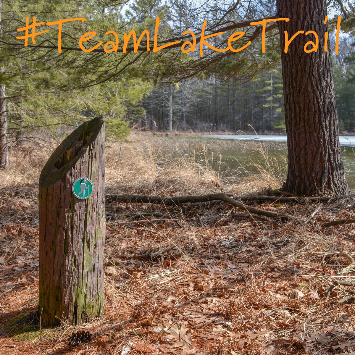 CampBarakel's tweet photo. Ambush!
or
The Lake Trail

Vote today in the final matchup of Barakel March Madness!

https://t.co/Ol2ehwpNK9

#TeamAmbush #TeamLakeTrail https://t.co/Da6B3GpxKT