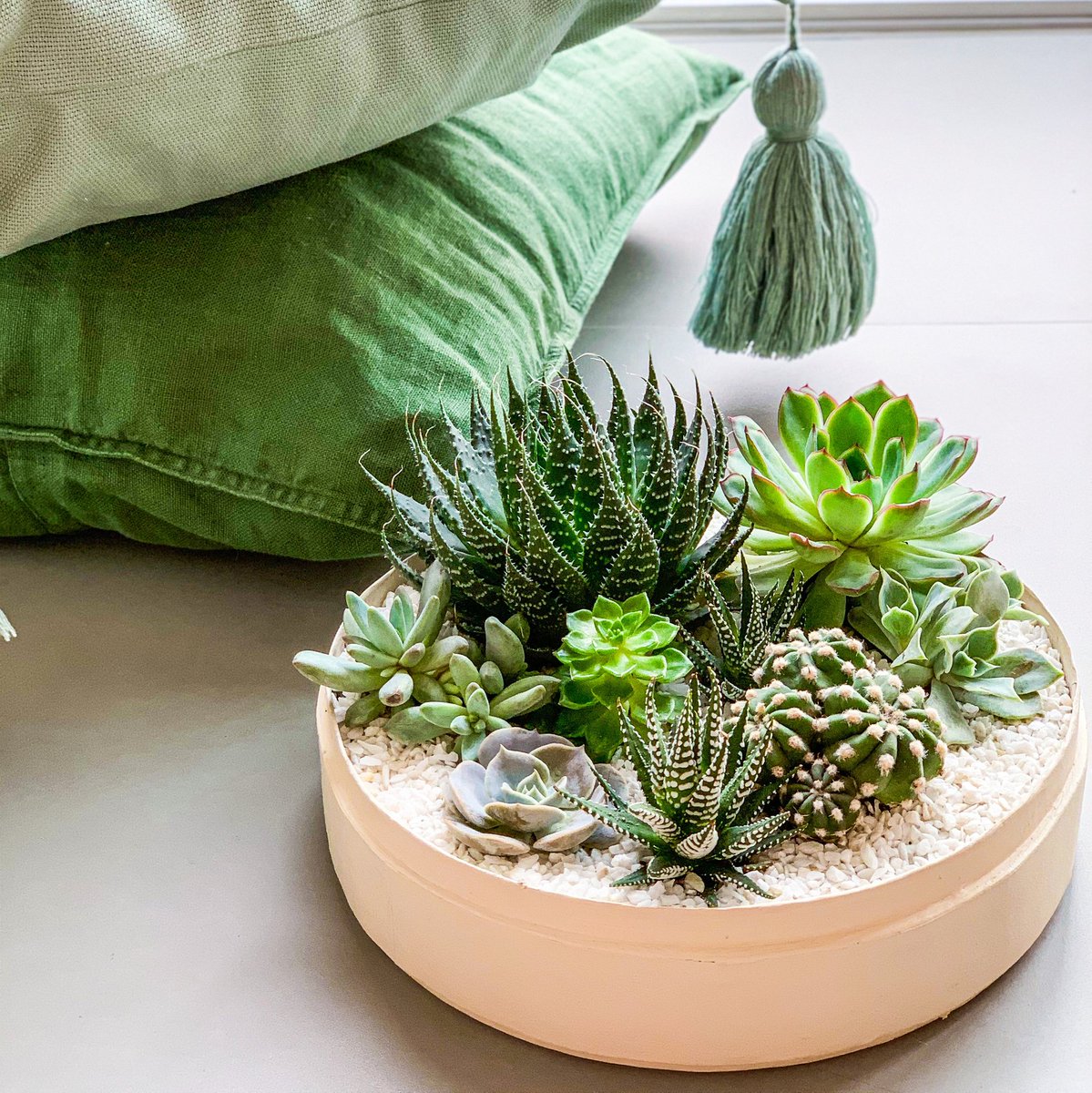 wanderpotsocial's tweet photo. Plants are mood-boosting miracles. Caring for them is a form of meditation. Gifting them is a gesture of love!
DM for orders π
#WanderPot #PlantGifts #CorporateGifts #RamadanGift #RamadanDecorations #Ramadan2020 #StayHomeDubai #DubaiPlants #DubaiLifestyle #MadeInDubai https://t.co/oZaNNL81K3