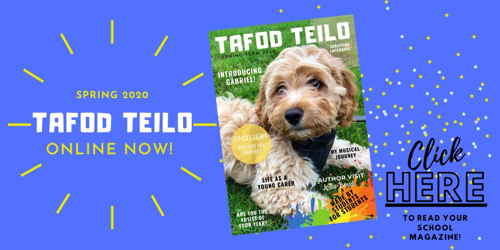 St Teilo's Literacy tweet media