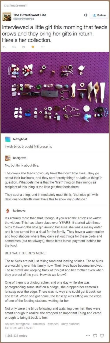 DND Memes tweet media