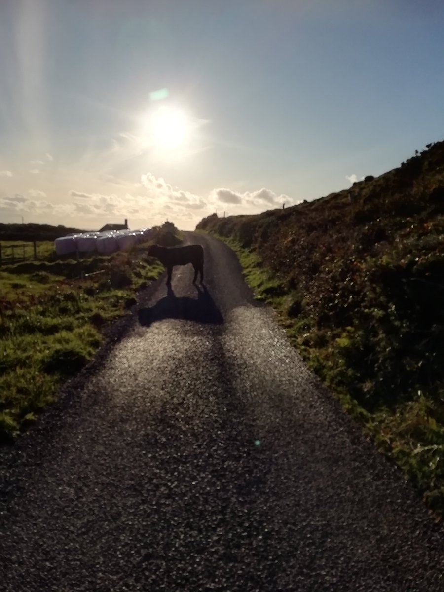 <a href="/Taraustralis/">Taraustralis</a> For me it would have to be <a href="/oileanchleire/">Cape Clear</a>. Perfect place to escape the madness of the outside world.