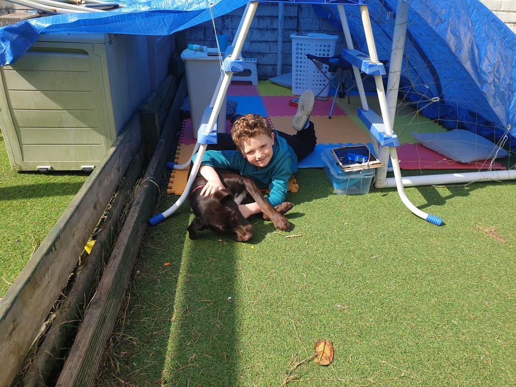 buzzard187's tweet photo. @BubsyTownhill Jac loved building his den,thanks! https://t.co/BkZaCd7Owg