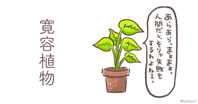 空気も運気も良くなる。 