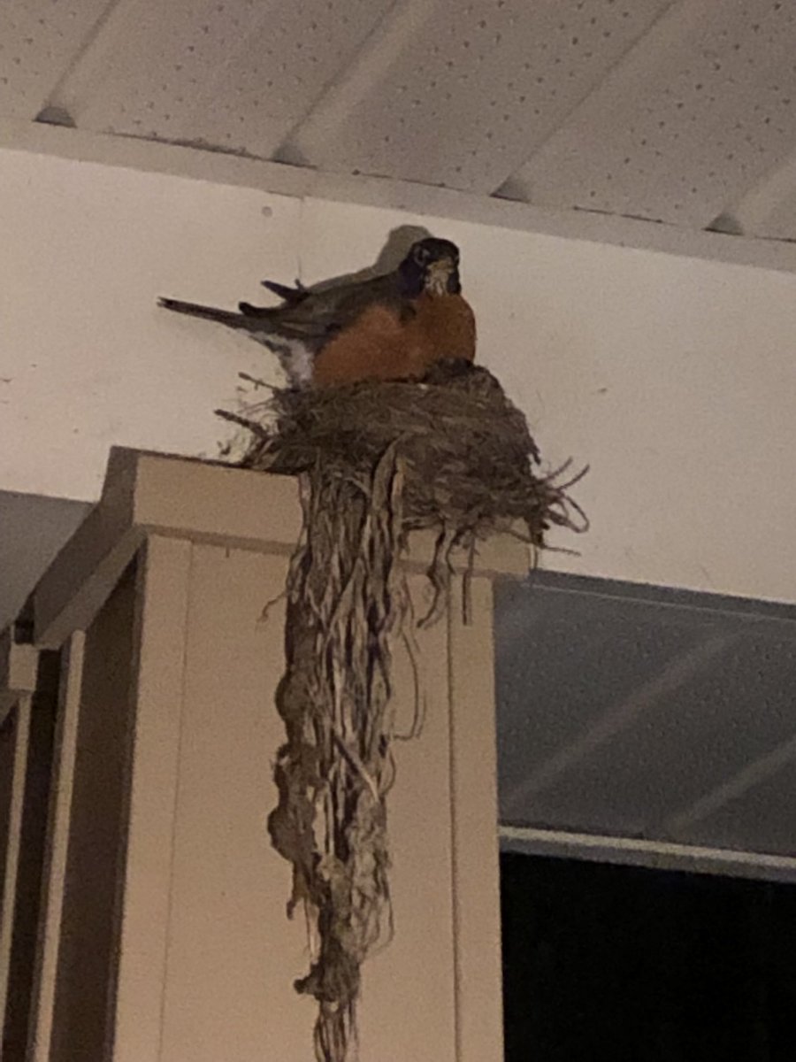 SirWinstonChurchillPS tweet media