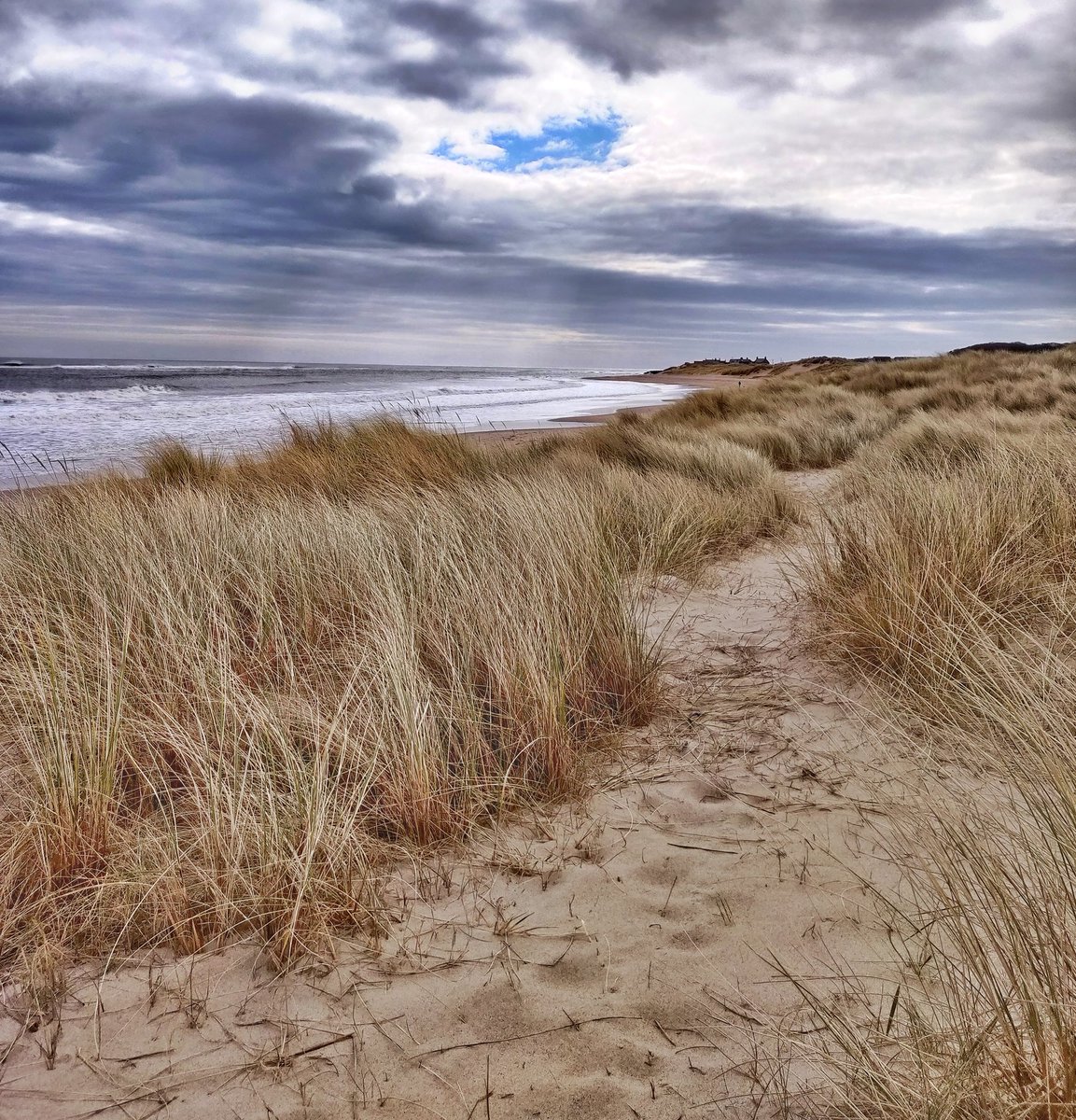 #pictureofabeach 
Cresswell, Northumberland 💙
