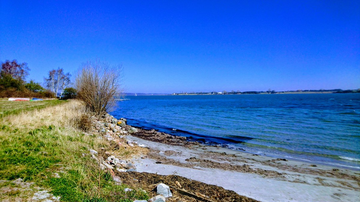 Michael Svendsen 🇺🇦 tweet media