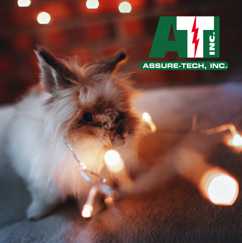 AssureTechLa's tweet photo. SomeBUNNY wants to remind YOU to call Assure-Tech Inc right away if you're experiencing electrical issues! Home comfort has never been more important and as we enter Easter week, we hope everything about being home makes YOU happy!! If you're looking t ... https://t.co/ZeEFpOSCT2 https://t.co/ze7K1kqyQZ