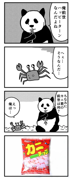 前世ハッピーターンなんだよね 