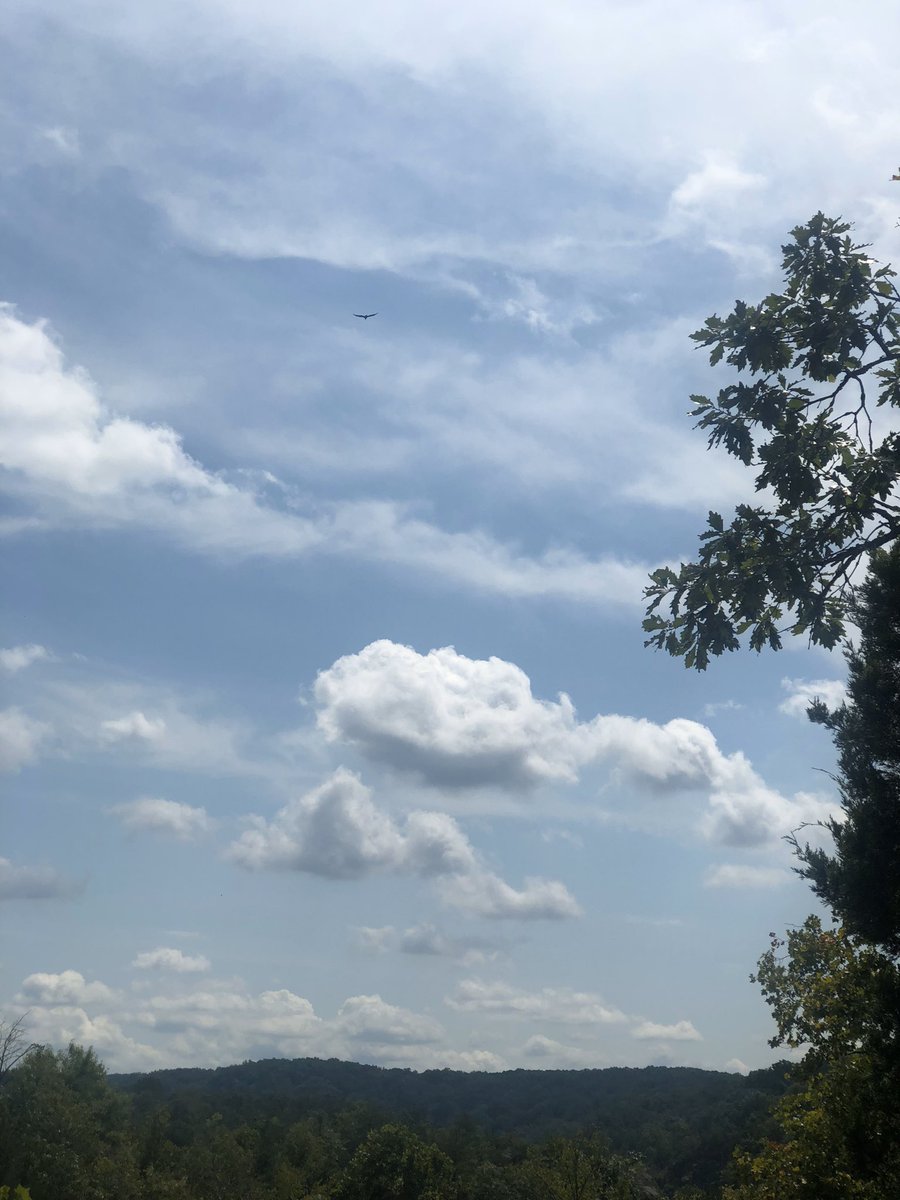 GoodNewsNatalie's tweet photo. We can still have sunshine on a could day. #morningmonday #goodnews #goodnewsnatalie #bethankful #behappy https://t.co/zdPSNRoIre