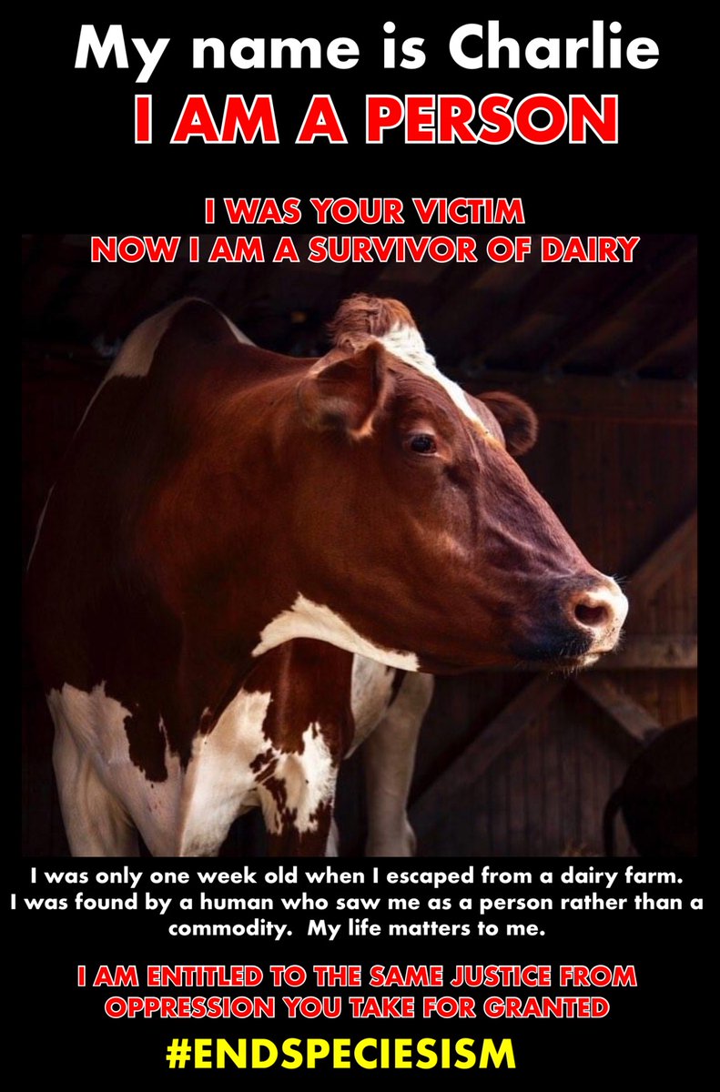 ATWARFORANIMALS's tweet image. Poster by Jason King.
#endspeciesism #personhood #stopusinganimals #cows #veganism