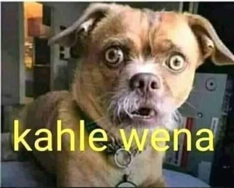 MsNdixM's tweet photo. @City_Press This personal issue #BhekiCele has with alcohol needs to stop. Some of us have a healthy relationship with alcohol! https://t.co/XsDUyqnqMT