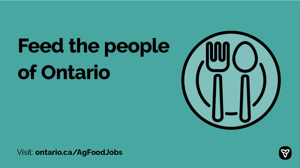 AgricultureON's tweet image. Do you want to make a difference in our efforts against #COVID19? Join Ontario’s agri-food heroes who feed the province. Check out this one-stop shop for agriculture and agri-food jobs: ontario.ca/AgFoodJobs #AgJobs #FoodJobs #OntAg
