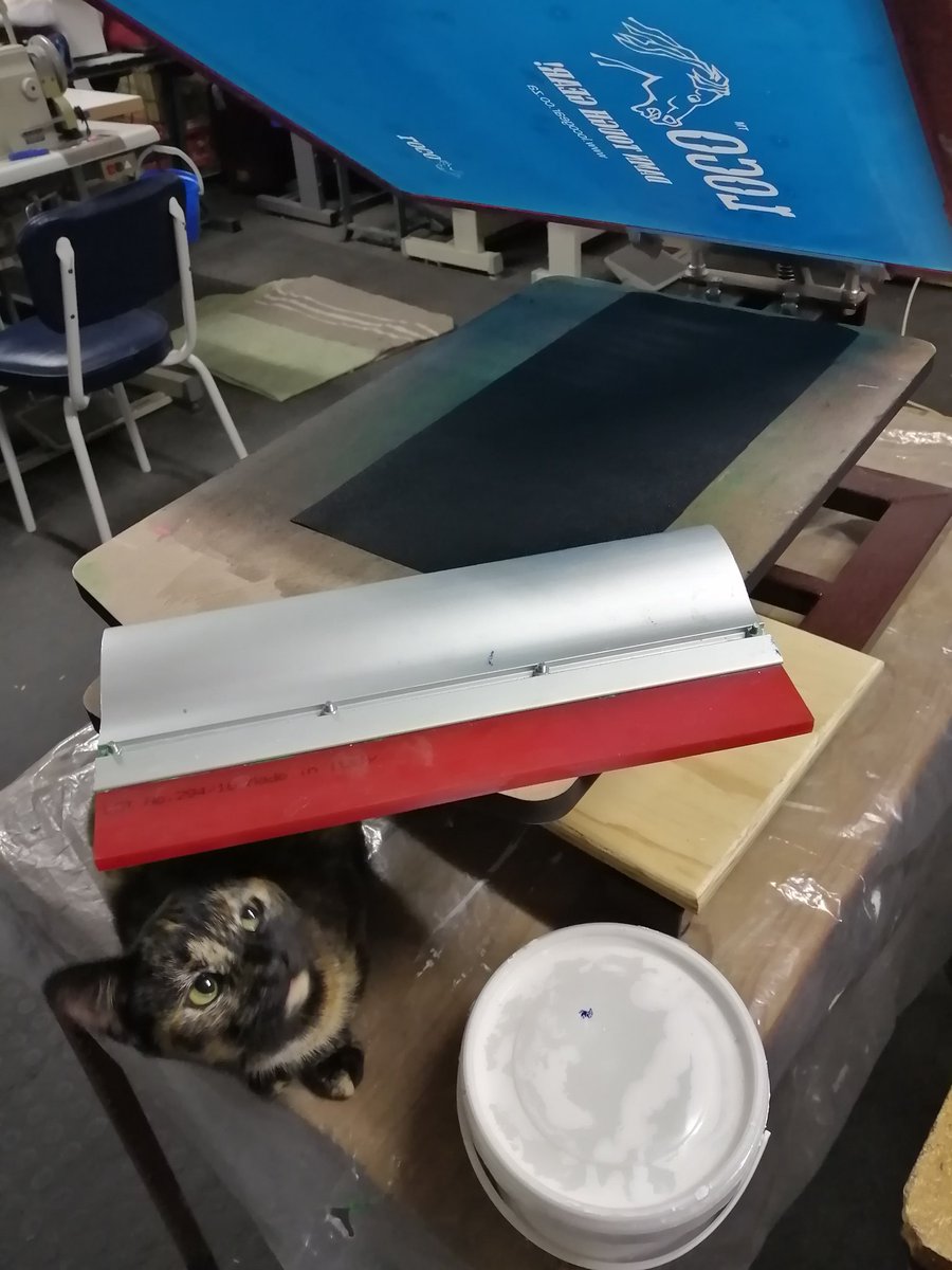 runlocoruncrazy's tweet photo. Branding bags for @locogear_sa horse blankets

Bandit did quality control and checked everything was set up right for the test prints. Now to sew up the bags and they are ready to go

#locohorsegear #runloco #hustle #screenprinting #horse #bags #adventurewithme https://t.co/3pMpTWbbQW
