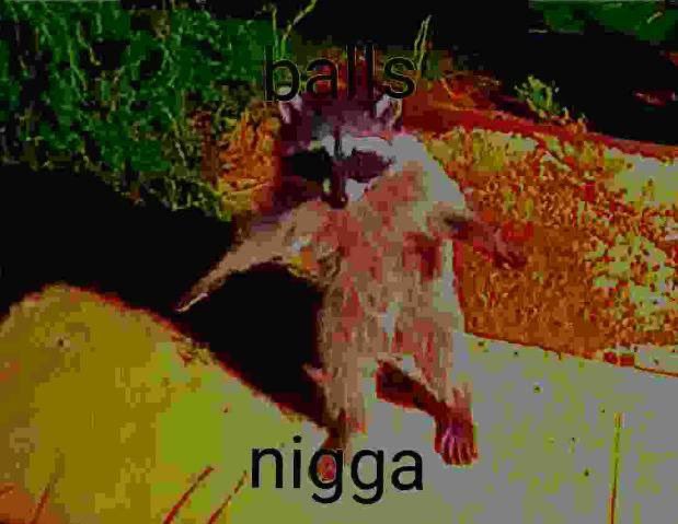 DC fanboy tweet media