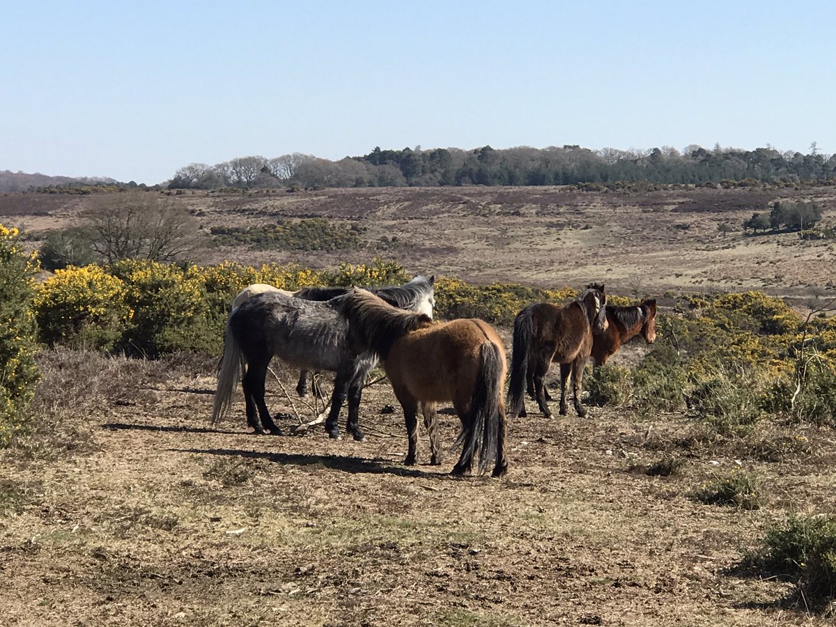 SBS EPOS tweet media