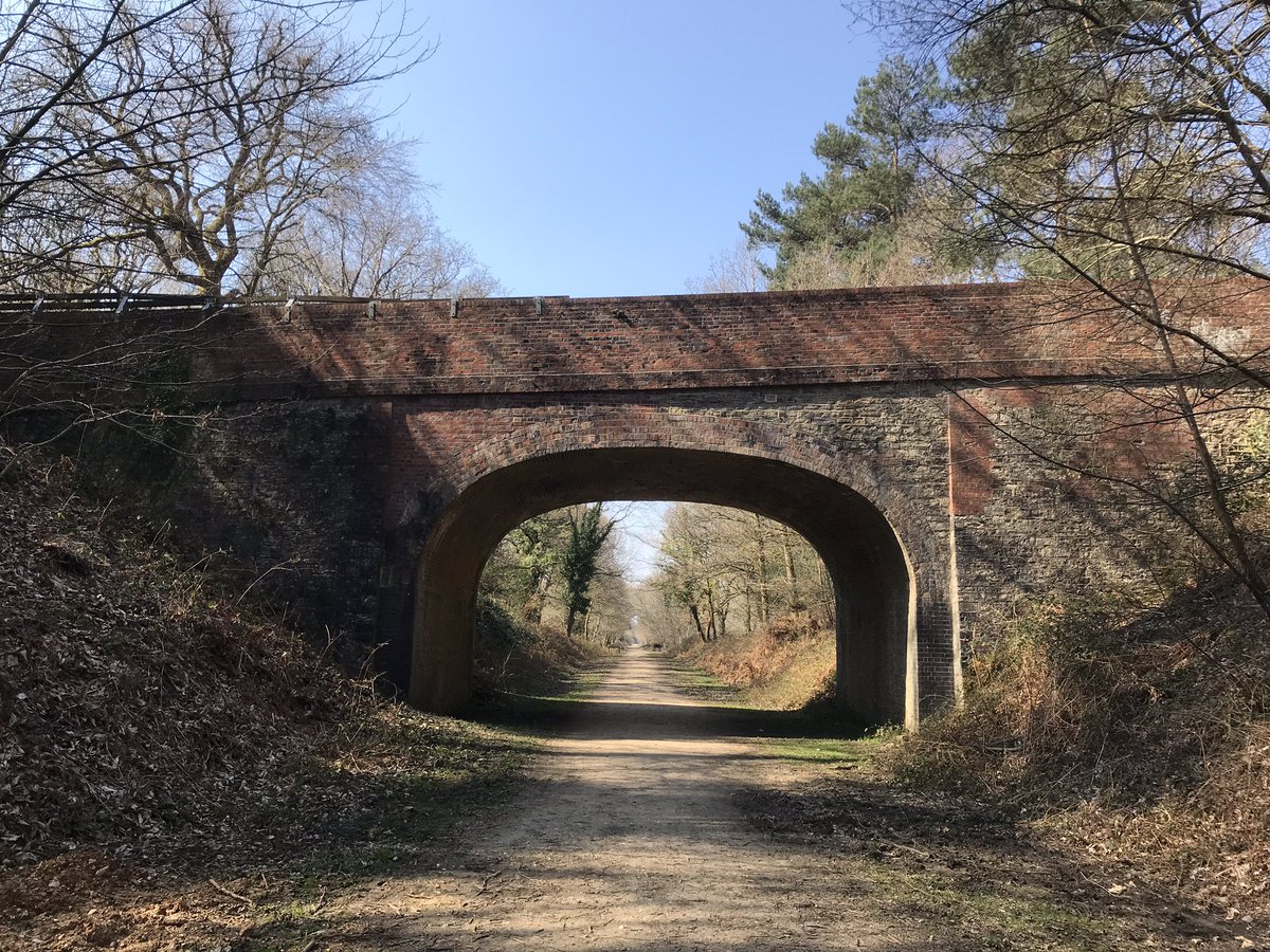 SBS EPOS tweet media