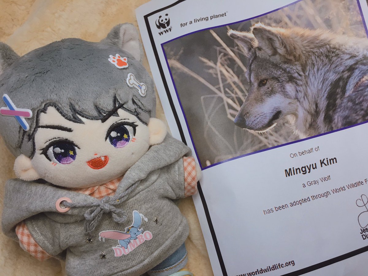Wolf_MingMing's tweet photo. #봄처럼_따스한_민규야_생일축하해       
         ♡♡ ҉ ☆ ҉。.☆‧ ₊♡♡
             ʜᴀᴘᴘʏ ᴍɪɴɢʏᴜ ᴅᴀʏ https://t.co/Jd3seKfqgw
