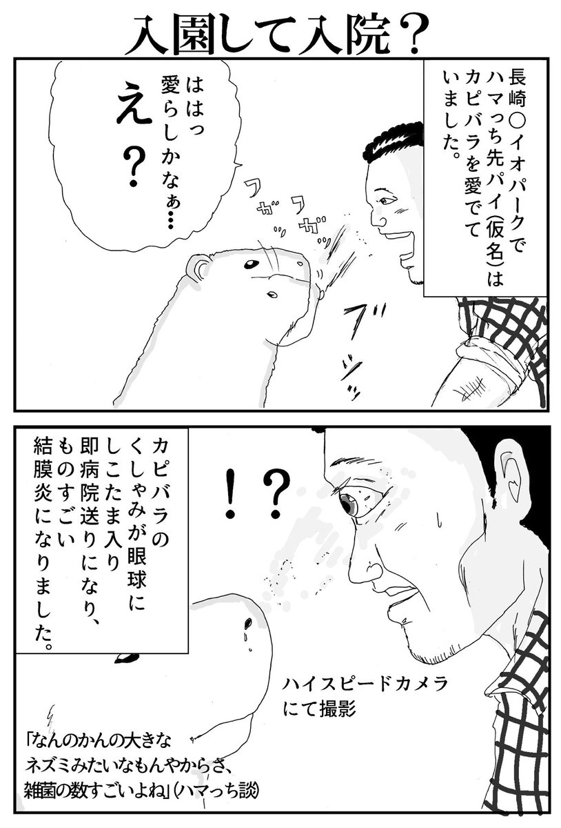アナログ1P漫画
●育児漫画
①幼児の語彙
②うちのジジョ 
③ファミレスラー(@ジョイフル)
●先輩漫画
入園して入院?(カピバラの先輩) 