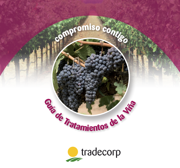 Tradecorp_ES's tweet photo. 🍇Nueva Guía de Tratamientos de la Viña de #Tradecorp
Toda la información sobre #Fungicidas #Herbicidas e #Insecticidas en un solo documento para ayudar a productores y agricultores:
#Tradecorp #CompromisoTradecorp #Quédateencasa #Yomequedoencasa
https://t.co/3LRvsvw3NJ https://t.co/PCsJ2YY6Gh