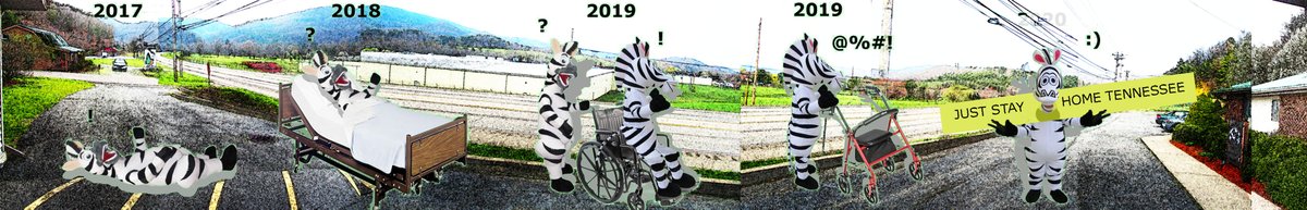 webmonkees's tweet image. @LastWeekTonight Stuck here for over 900 days, 
I need to motivate Tennesseeans (and myself) 
to shelter in place. 
Please Fedex at least one zebra suit and a sign and I&apos;ll hold a sign in a zebra costume telling them to stay home. 
Social distance I got covered. #justaddzebra
