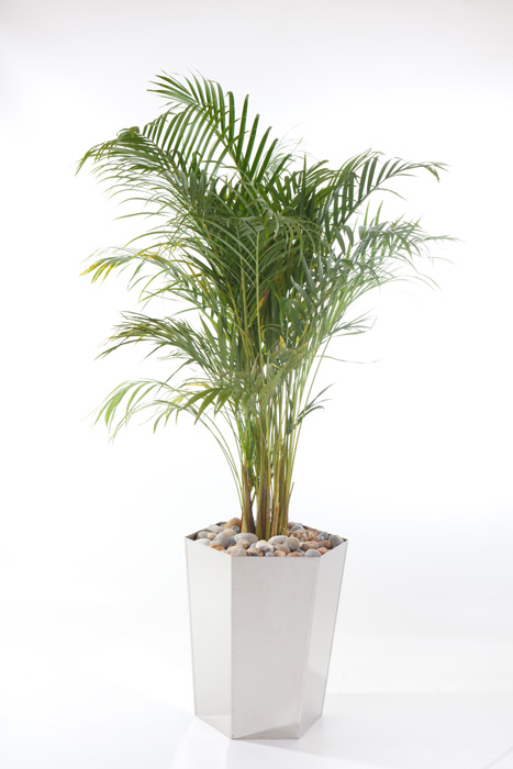 It's time to give your outdoor space the care and attention that it deserves. As we get closer to Summer, stainless steel planters are a great way to capture and reflect the light iconplanters.co.uk #gardendesign #gardening #BritishSummerTime