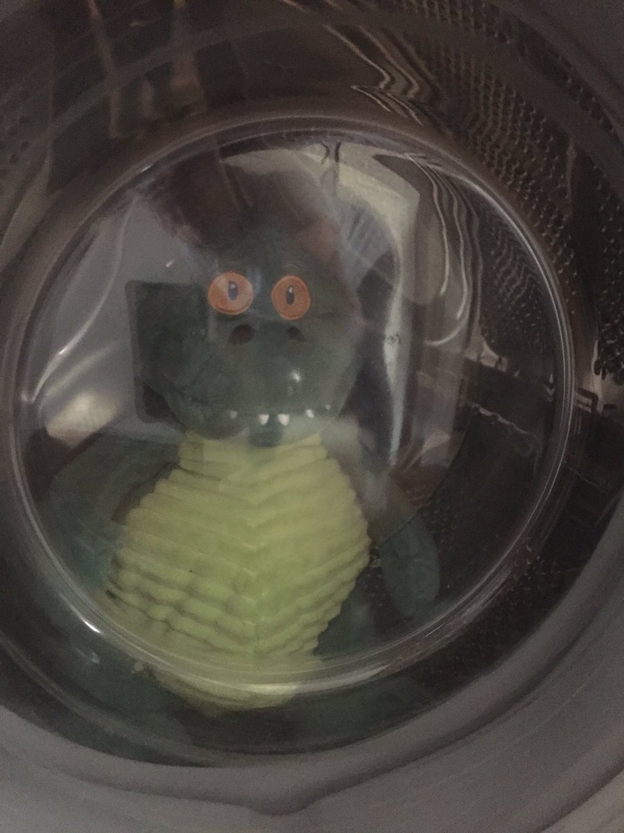 MrsCurtis6's tweet photo. Good Morning ! Team C are in school this week which means Edgar and I are working from home so #FindEdgar may be quite tricky ! Unless you’ve ever been to my house ! So here goes... Where is Edgar this morning ? @BostonStNic https://t.co/WLGcxQmLlo