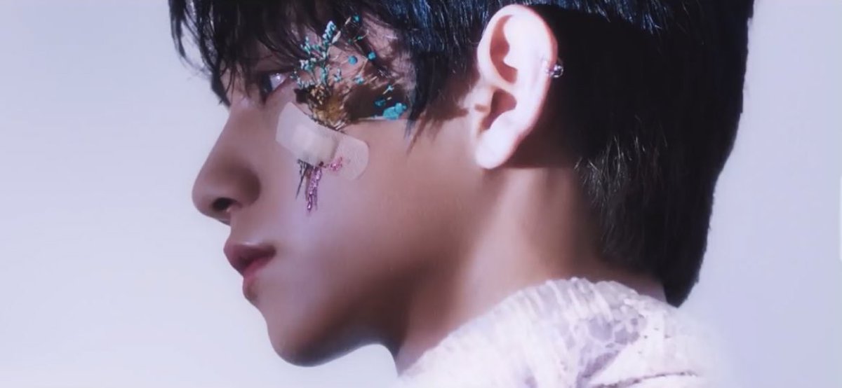 seventeen falling flower 舞い落ちる花びら