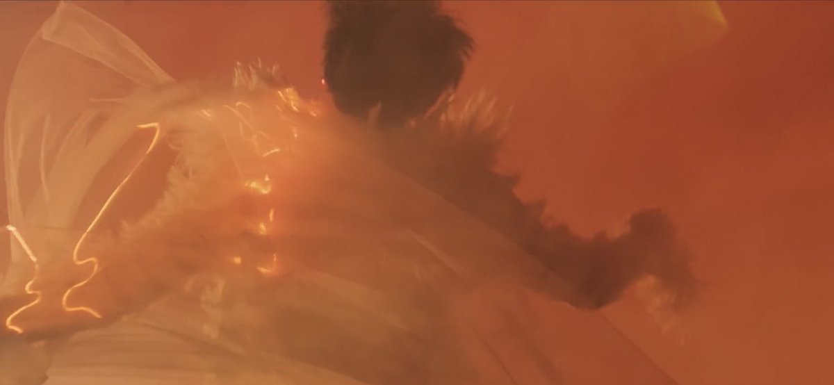 seventeen falling flower 舞い落ちる花びら