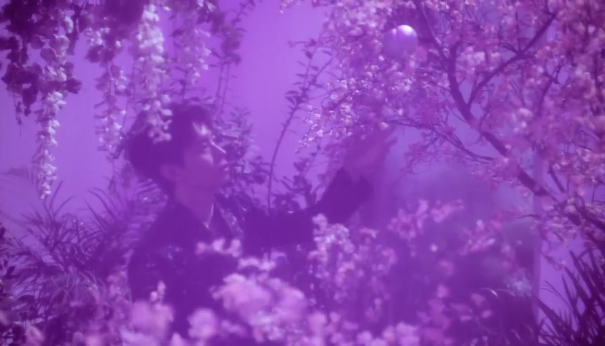 vixxshangri-la 도원경桃源境