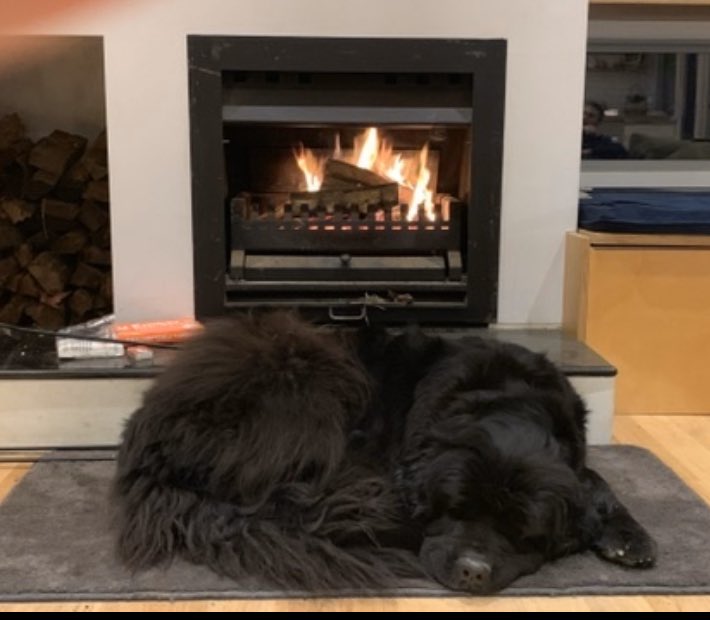 AndersonSarahDr's tweet photo. @johnnodvc @latrobe My dogβs exhausted, my husband is colouring mindfully, one child is sorting our wine glasses, one thinks she will homeschool forever and the eldest is making wooden salad servers to sell- my noise canceling headphones block it all out All in all winning @latrobe #wfh #petsofltu https://t.co/GUCseoc58l