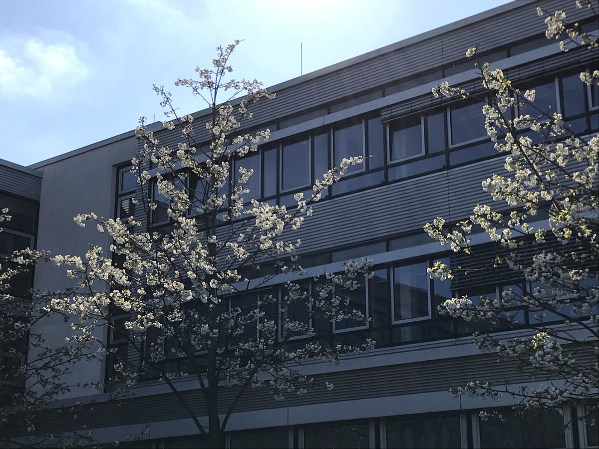 h_bonnrheinsieg's tweet image. #emptycampus auch an der #H_BRS, hier der Campus #Rheinbach. Wie es wohl auf den Trainingsanlagen der @SpoHoKoeln aussieht? Danke für die Nominierung @UniBonn #StayHome #wirbleibenzuhause