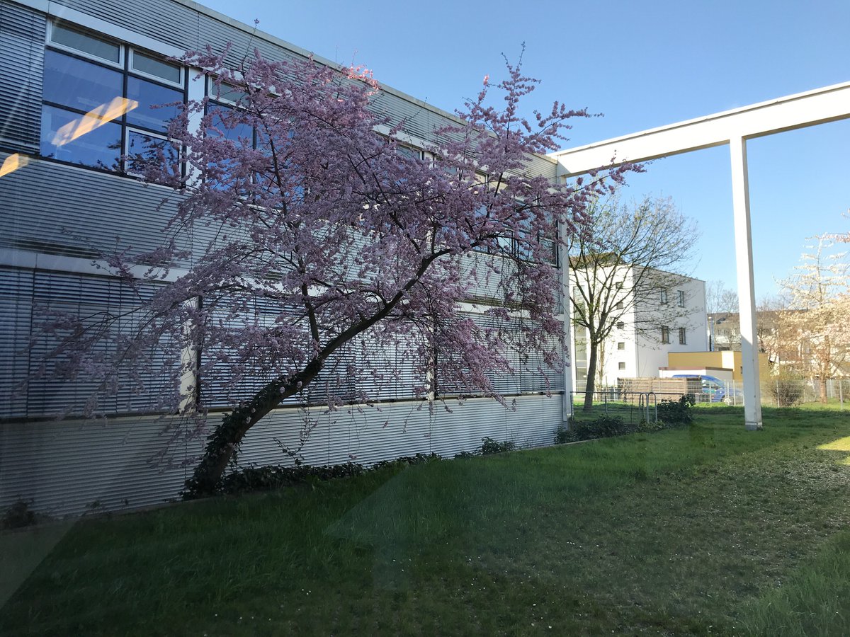 h_bonnrheinsieg's tweet image. #emptycampus auch an der #H_BRS, hier der Campus #Rheinbach. Wie es wohl auf den Trainingsanlagen der @SpoHoKoeln aussieht? Danke für die Nominierung @UniBonn #StayHome #wirbleibenzuhause