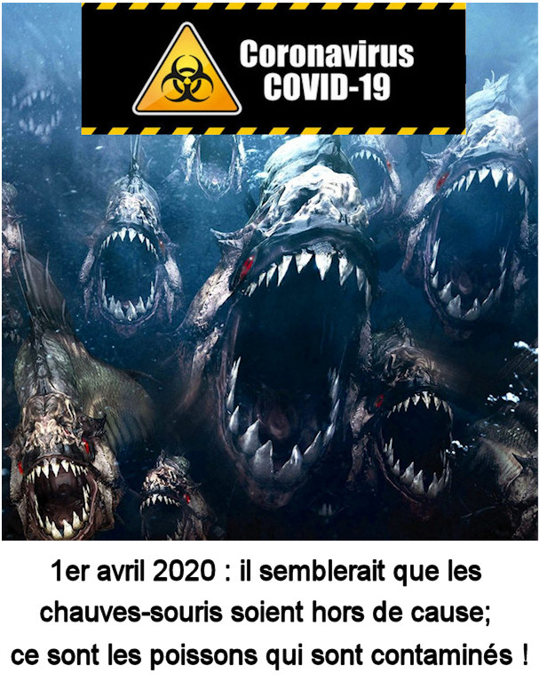 SOUTERWEB spéléo (@souterweb) on Twitter photo 