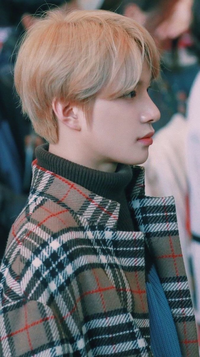 Search 🐰 tweet media