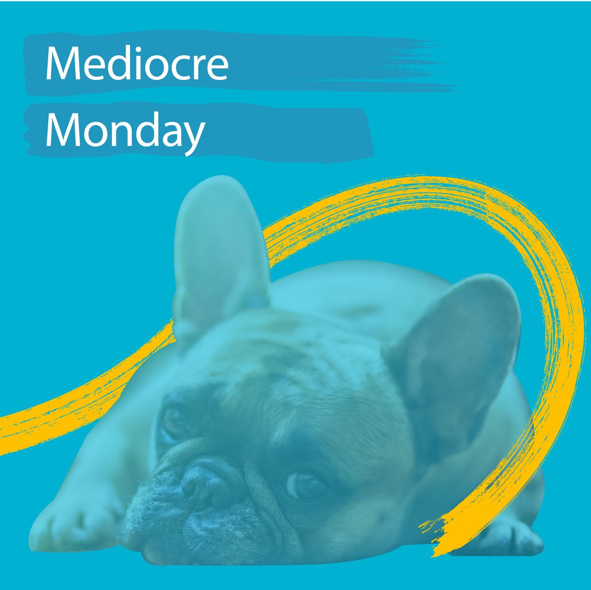 TheHorsfall's tweet photo. Our #MediocreMonday message is just as important during lockdown. Don't be affected by or believe everything you see online. Not everyone is learning a new language or perfectly homeschooling/working from home. We're all just trying to muddle through and that's totally fine! https://t.co/um5H0TF0Vc
