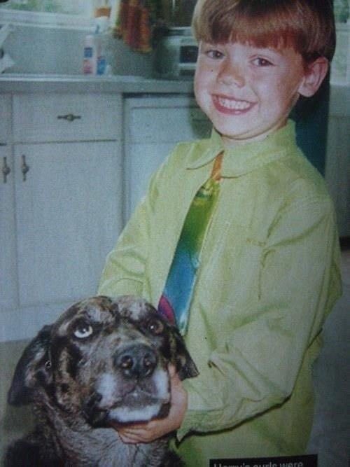 Harry Styles with dogs: a thread