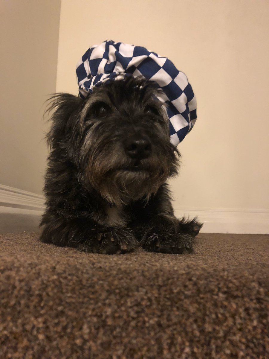 wilkoannie's tweet photo. @aussiesdointhgs The drunk guy at the end of the bar is claiming to be that famous chef 👨‍🍳 again. 🙄 singing every snack you take every bite you make I’ll be watching you , so romantic ❤️ https://t.co/5VcEJM34bF