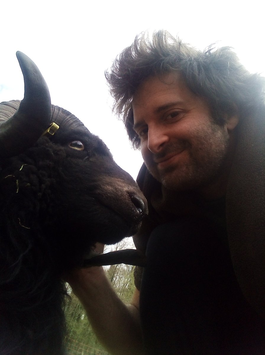 DCbrain_feed's tweet photo. Nicolas est (vraiment) Optimiste. Quand il ne conçoit pas de nouveaux algorithmes d'optimisation générique, il s'occupe de ses moutons. Des fois ils font des petits et c'est très mignon. #DCbrainRemote https://t.co/lD2G3rrGg5
