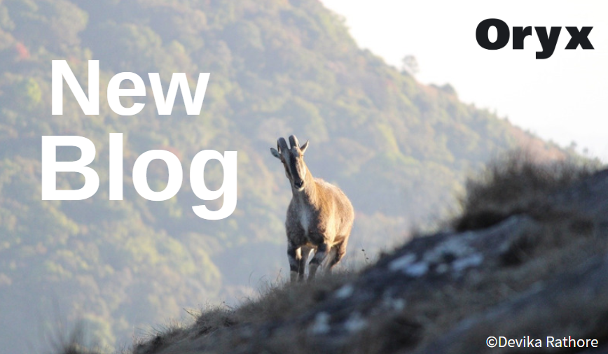 OryxTheJournal's tweet photo. New blog! 'The unsung mountain monarch: Endangered Nilgiri tahr of the Anamalai Tiger Reserve'

Find out more about @ksuryawanshi et al.'s latest research in our blog by @KhanyariMunib: https://t.co/PjWSzBanqK https://t.co/TmqceXQVcN