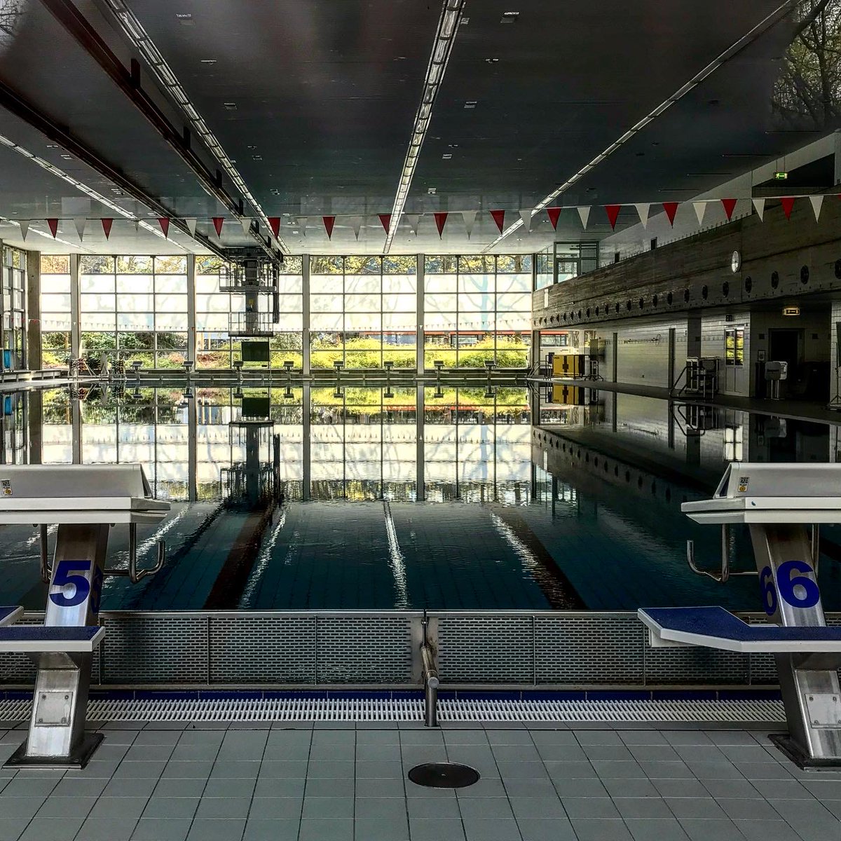 SpohoKoeln's tweet image. Wie es wohl auf den Trainingsanlagen der #Spoho aussieht, fragt die @h_bonnrheinsieg. Danke für die Nominierung. 😊Hier unser #emptycampus... #StayHome #wirbleibenzuhause #coronavirusdeutschland